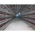 High Quality of Automatic Layer Cage